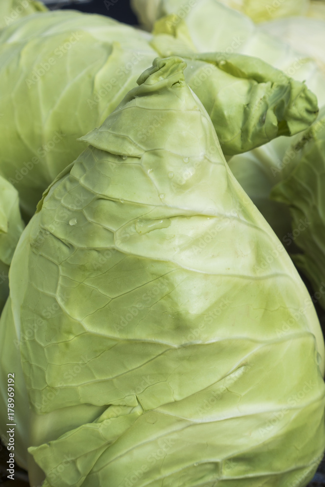 Obraz premium Caraflex Cabbage Close-up
