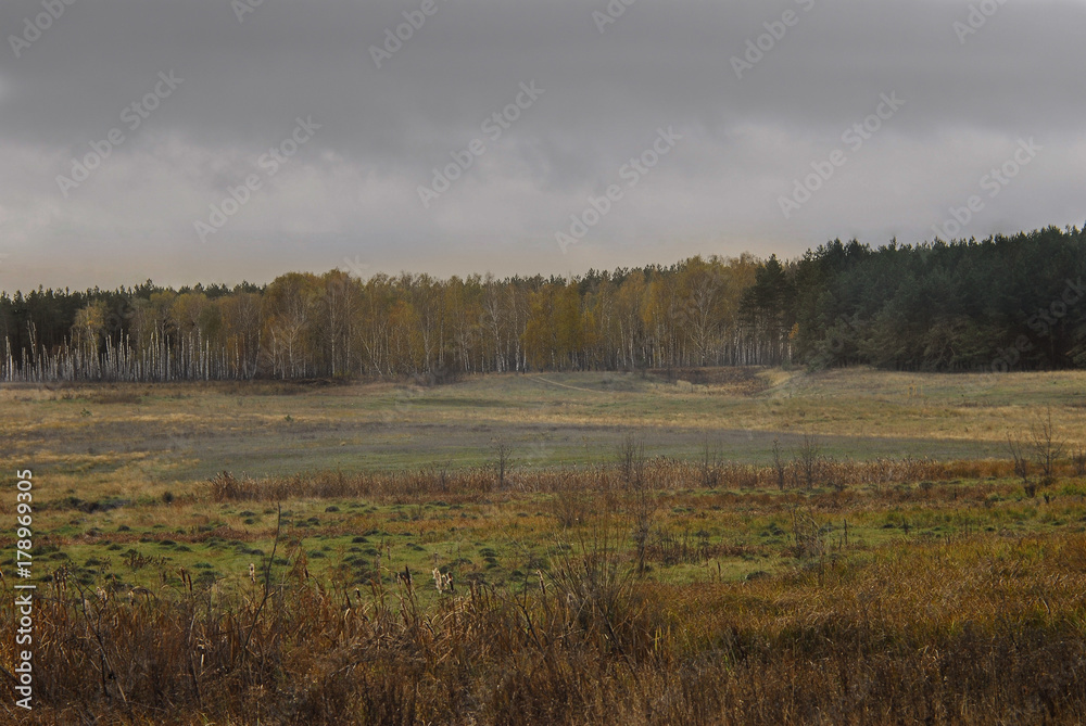 Fototapeta premium Autumn field.
