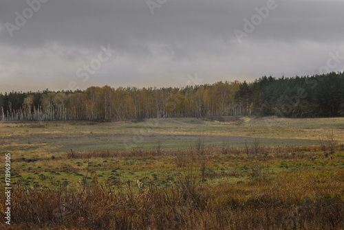 Autumn field. © Кристина Карнаухова
