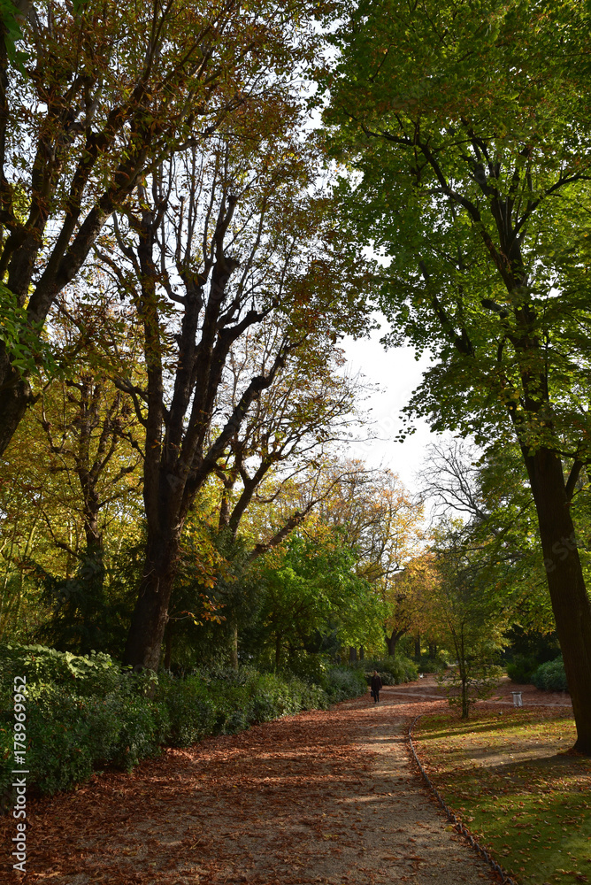 Naklejka premium Allée du jardin du Luxembourg en automne à Paris, France