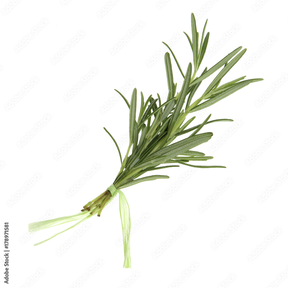 Fototapeta premium Isolated on white Herbs in a cute little Bunch - Rosemary