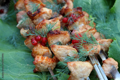 Cooked meat, berries
