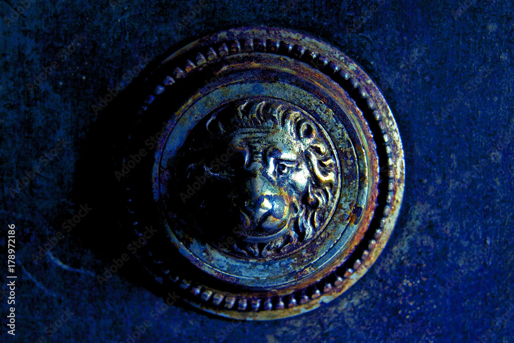 Fototapeta premium TURN THE LION