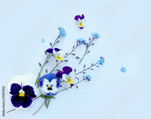 Violas, flowers, background