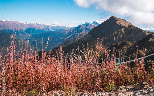 Red plants in foreground and Caucasus mountain ridges in blue haze in background in Krasnaya Polyana, Russia photo