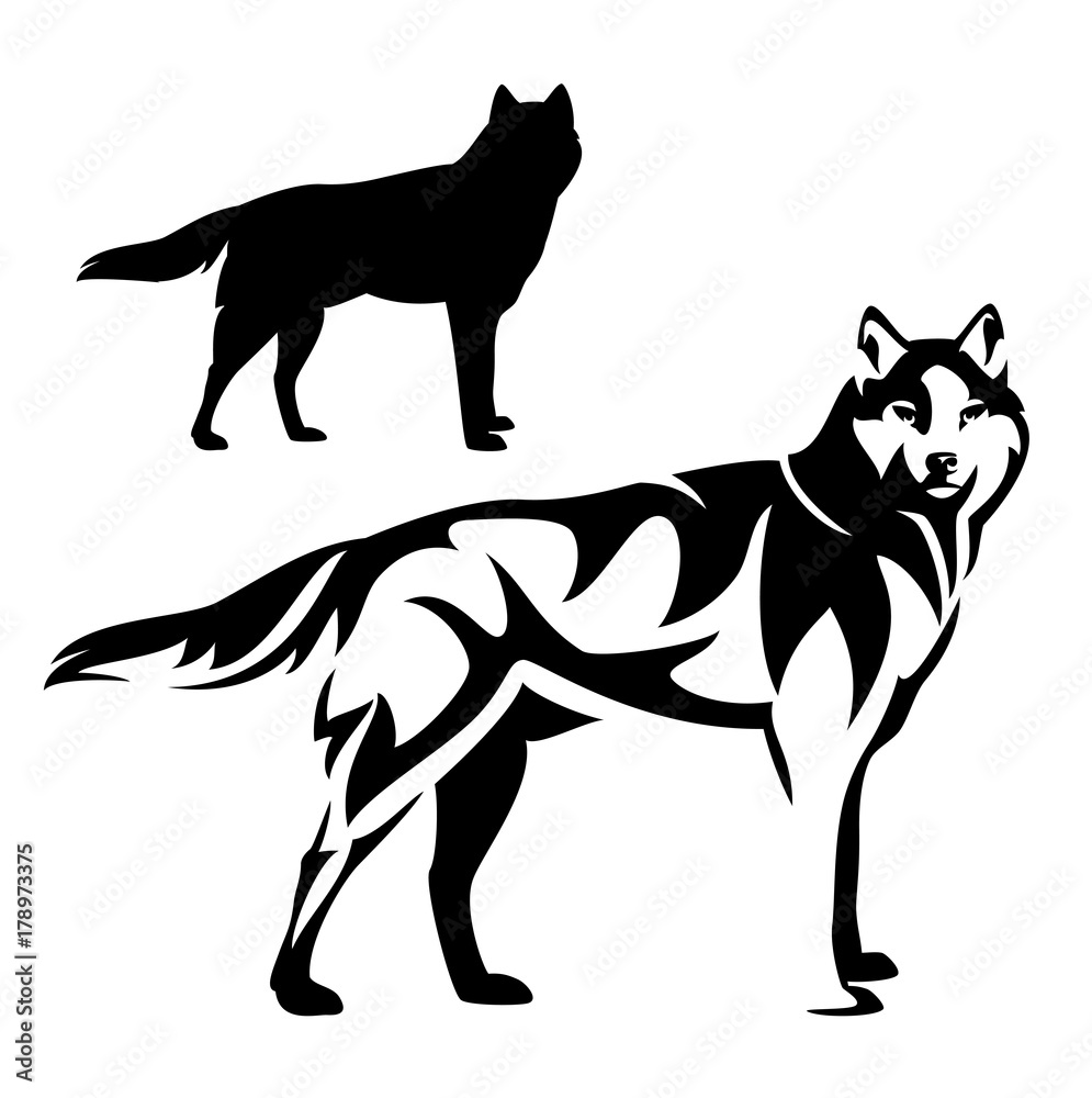standing wolf black and white vector outline and silhouette design