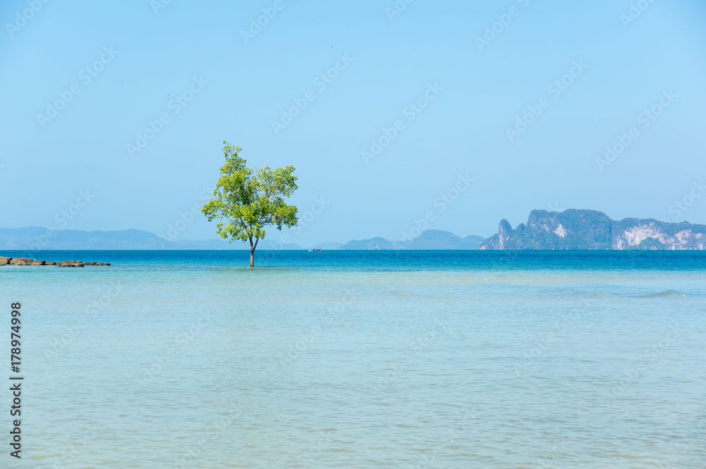 Fototapeta premium Klong Muang beach