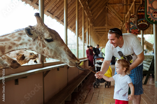 Little kid boy with his dad watching and feeding giraffe in zoo. Dreams come true. photo