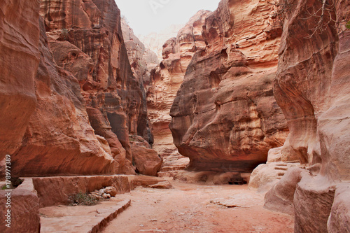 The Siq - narrow entrance to the ancient Nabatean city of Petra with wide path in gorge between high red giant rocks.