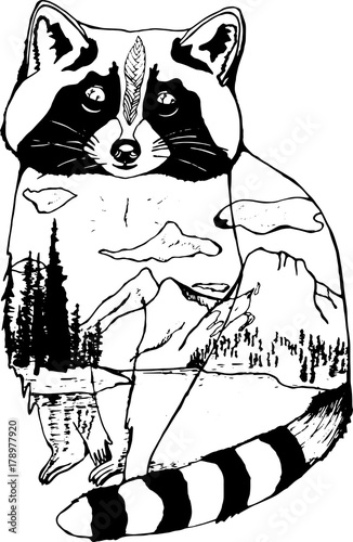 Black and white illustration of a raccoon, mountains and forests in it. Double Exposure
