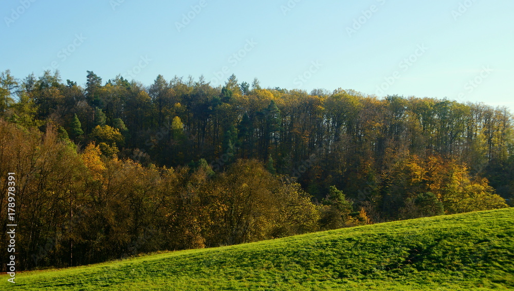leuchtend grüne Wiese vor buntem Herbstwald und blauem Himmel