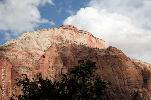 Towering Cliffs - Zion National Park