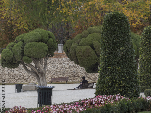 Young woman reading in Cecilio Rodríguez Garden in the Retiro park. Madrid Spain photo