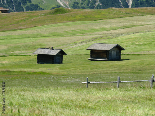  view of Alpe di Siusi mountains photo