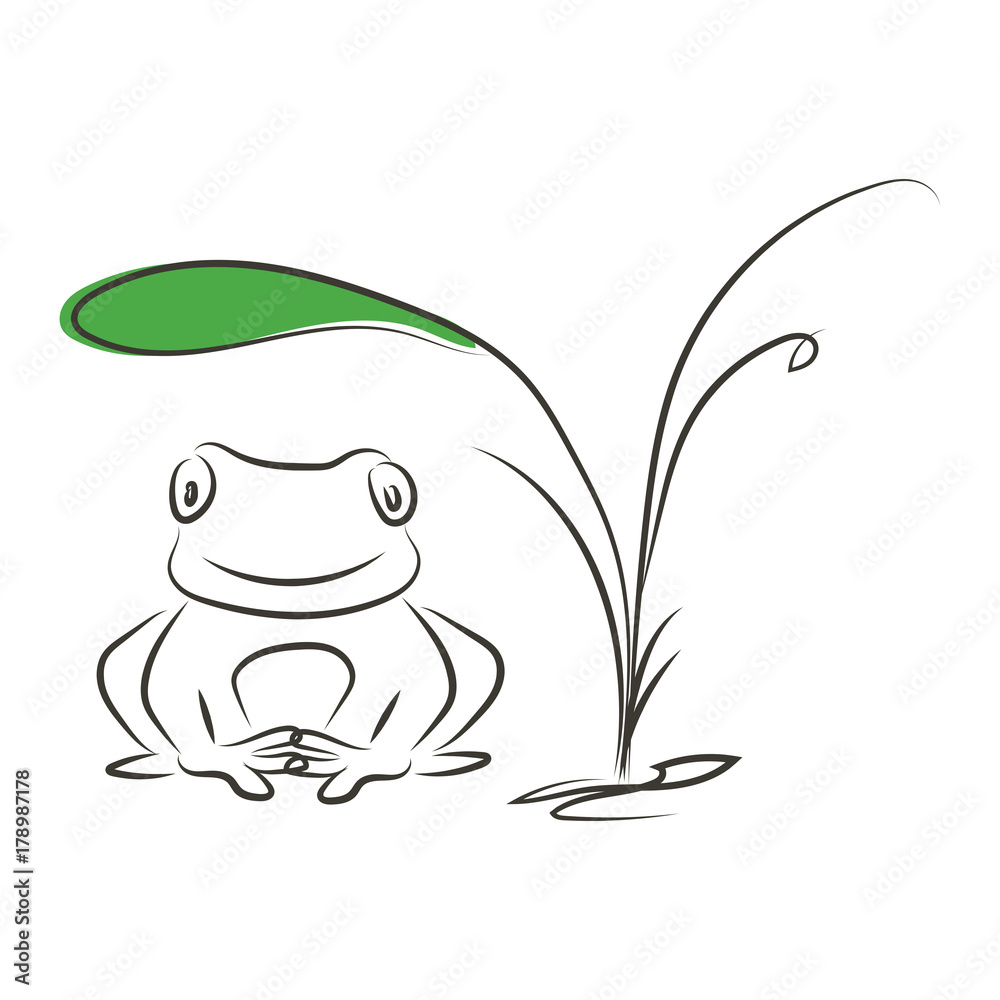 graphic design editable for your design, hand drawn frog under the ...