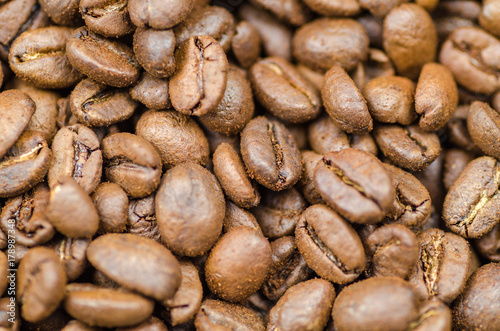 Coffee grain macro detail
