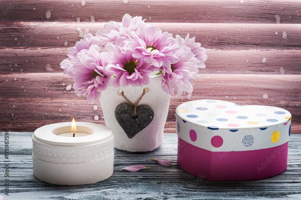 Pink chrysanthemum in concrete pot Pink chrysanthemum in concrete pot