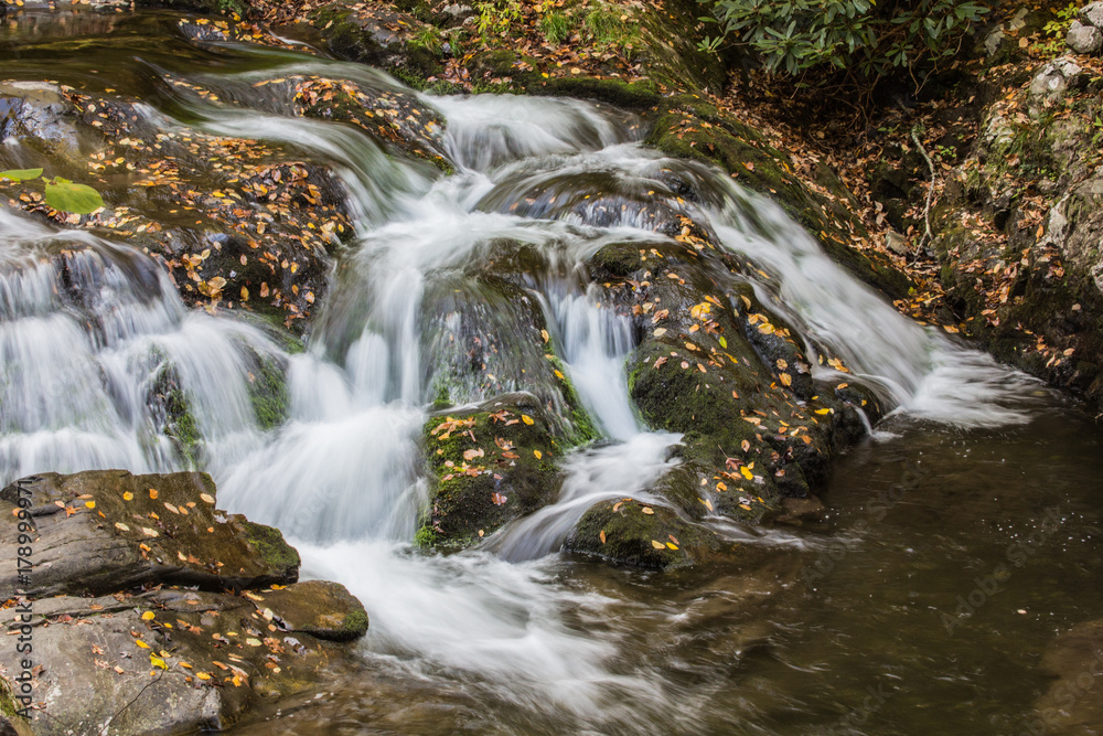 Obraz premium Great Smoky Mountain's Cascading Stream