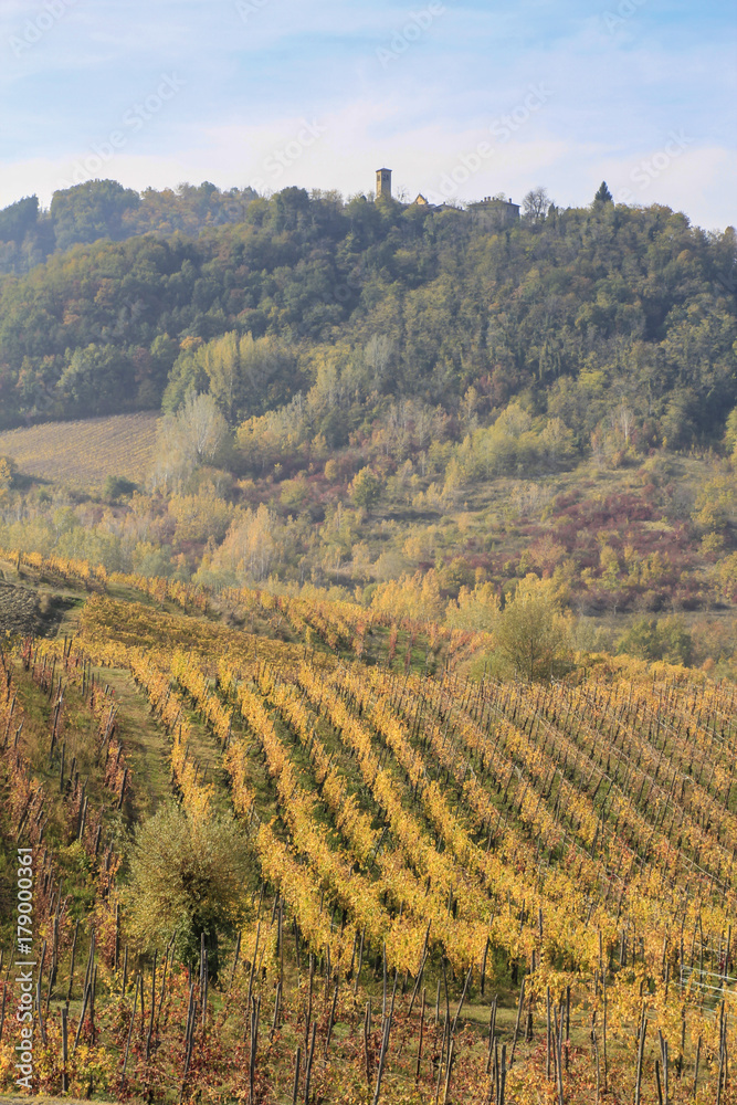 Naklejka premium The landscape of the hills of the Oltrepo Pavese, you can see the hills where it is produced the wine of high quality Italian