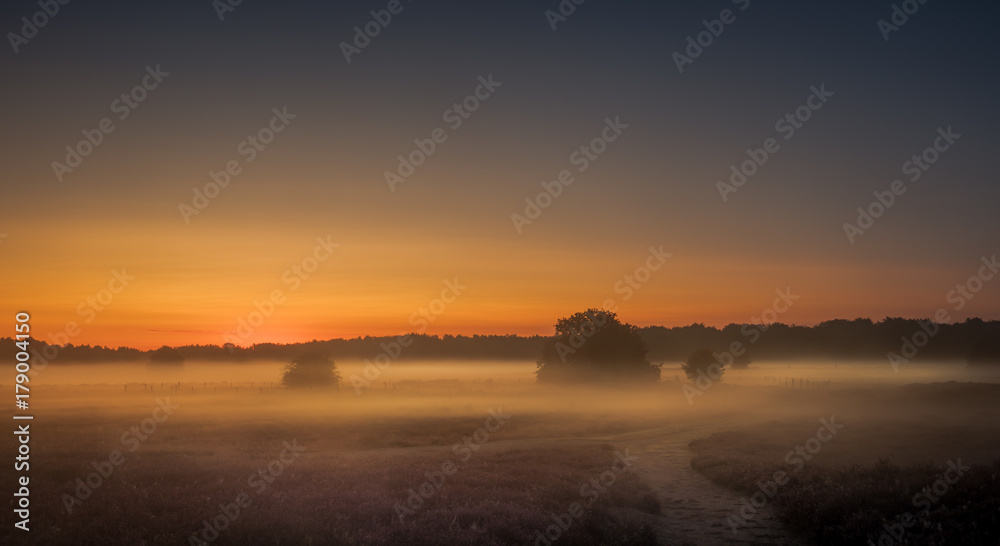 Morning fog over the heathland