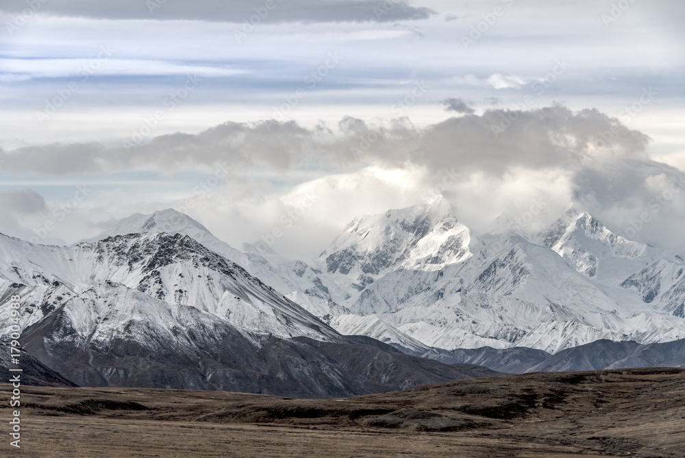 Denali national park with snow mountains top background 