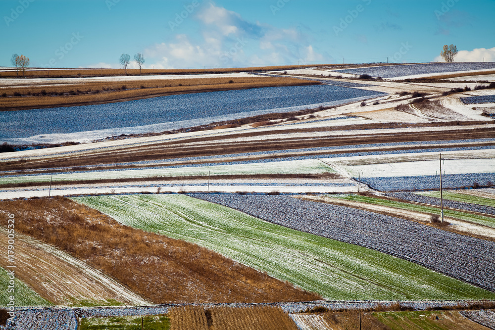 frost and early snow on colorful fields