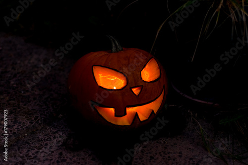 la primera calabaza de halloween photo