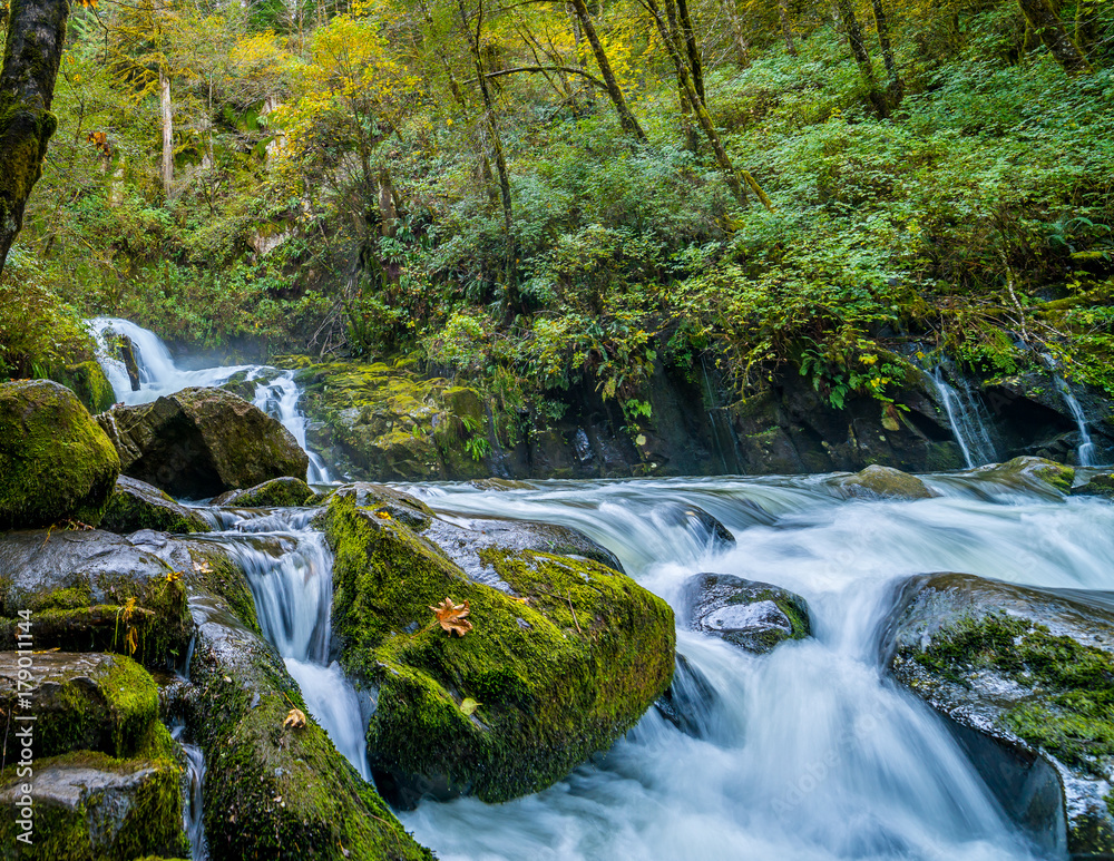 A Beautiful Waterfall Along a Lonely Path A Beautiful Waterfall Along a Lonely Path