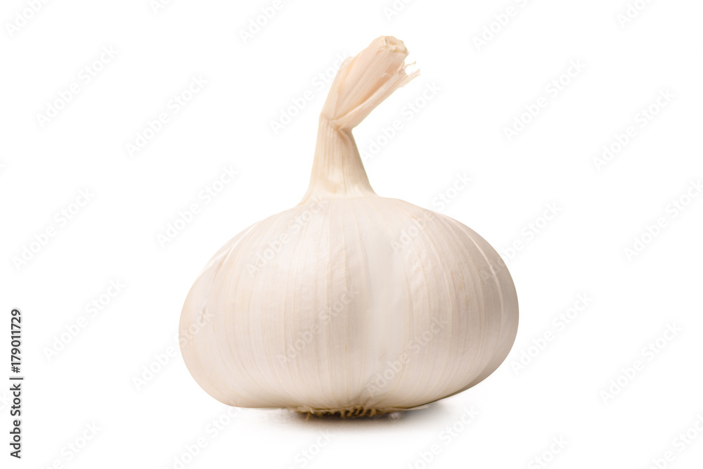 Garlic head isolated