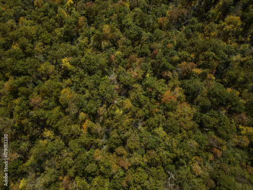 fall season, Autumn comes, Smoky Mountains National Park near Asheville, colorful, north carolina, USA