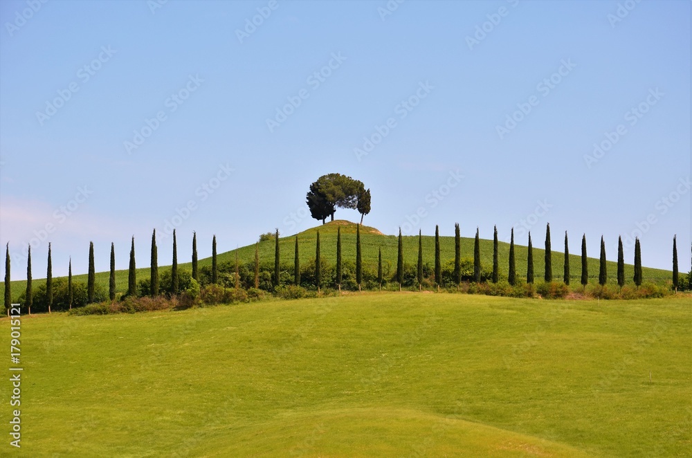 Fototapeta premium Simmetrie toscane