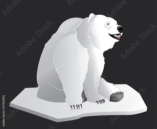 White polar bear sitting on an iceberg of snow isolated on a dark background vector illustration.