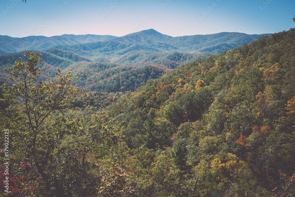 Scenic view of the side of the mountain in Smoky Mountains National Park