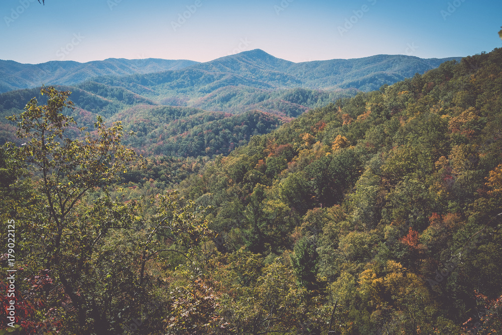Scenic view of the side of the mountain in Smoky Mountains National Park Scenic view of the side of the mountain in Smoky Mountains National Park