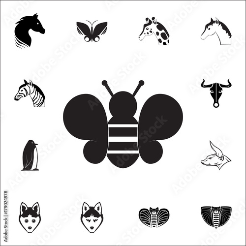 cute bee icon. Set of animal icons. You can use in web or app icons