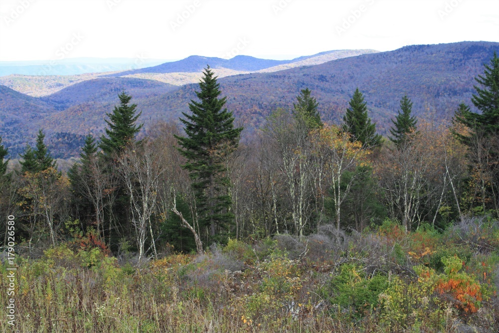 Highland Autumn View