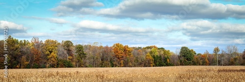 Countryside In Autumn 