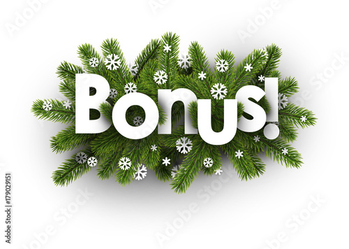 Winter bonus background with snowflakes.