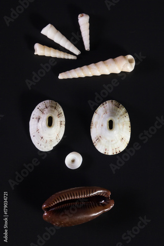 Sea shell faces photo