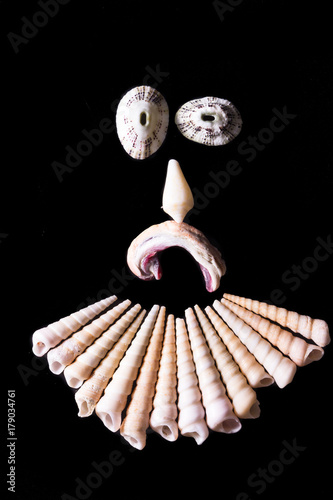 Sea shell faces photo