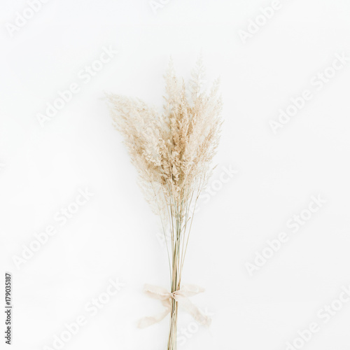 Pale dry branch bouquet with beige ribbon bow on white background. Flat lay, top view.