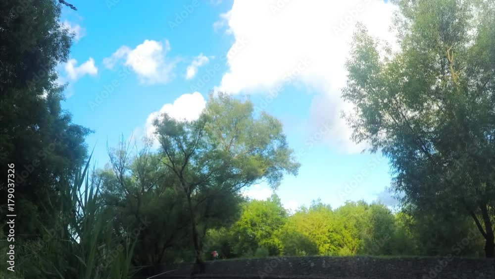 Trees and river On Sunny Day Timelapse