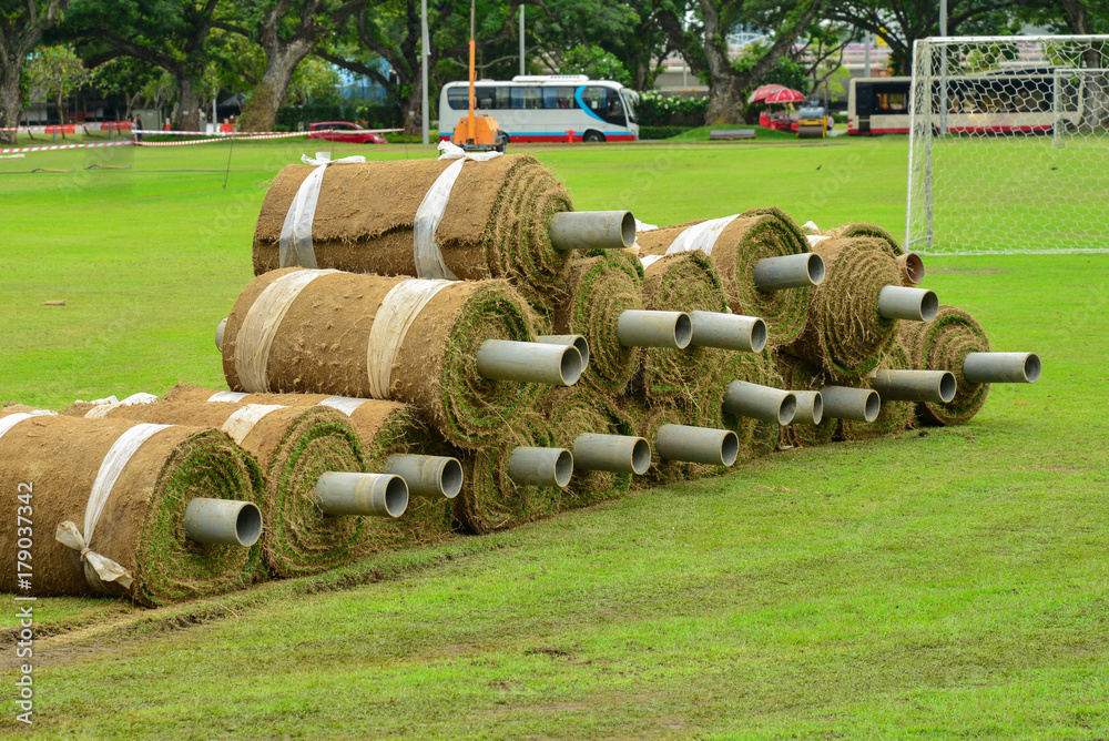 Gardening, grass planting in the field Gardening, grass planting in the field