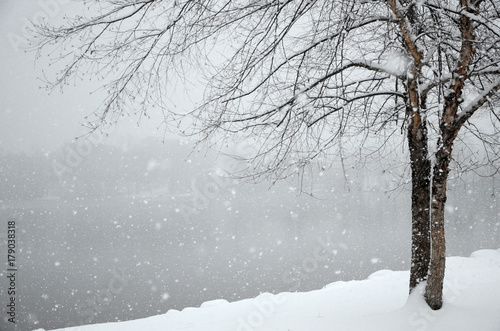 Falling snow piles up on the shore of a winter lake