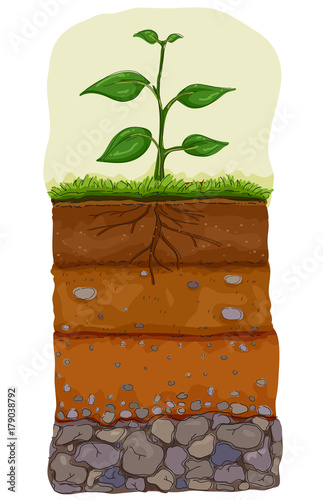Soil Layer Illustration
