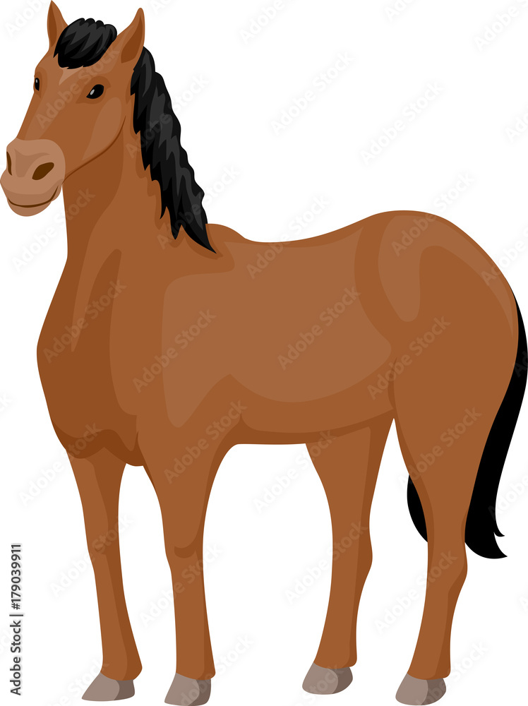 Horse Illustration