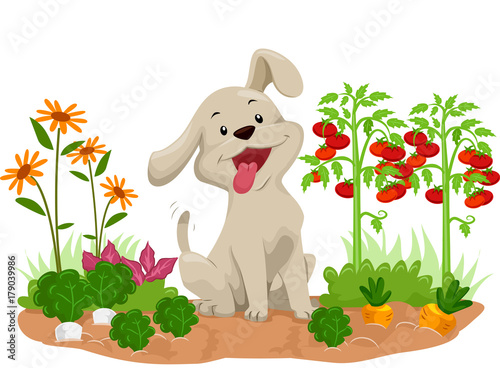 Dog Vegetable Garden Illustration