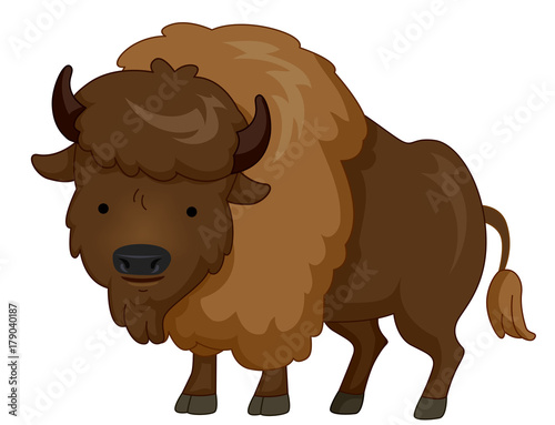 Cute Animal Brown Bison