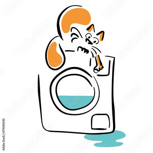 Cat and faulty washing machine