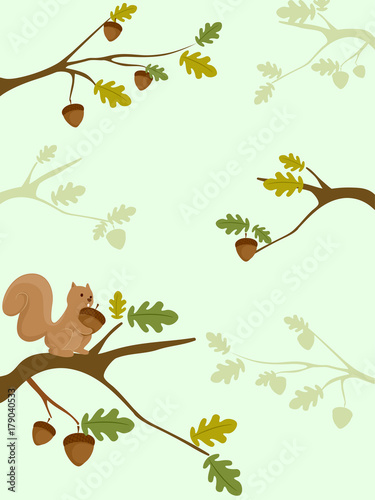Squirrel Acorn Background